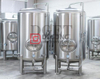 Equipo de cerveza artesanal comercial de acero inoxidable 15BBL Tanque Brite / Tanque secundario Sanitario en venta