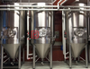 100L / 500L Home Micro Craft Beer Brewery Personalizable Beer Brewing Equipment Fabricante