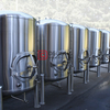 Equipo de elaboración de cerveza automatizado comercial personalizado de 500L para la venta